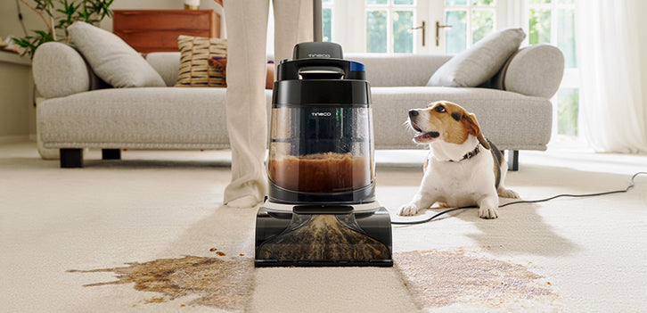 A person using a carpet cleaner on a stained carpet, with a dog sitting nearby. A cozy living room setting is visible.