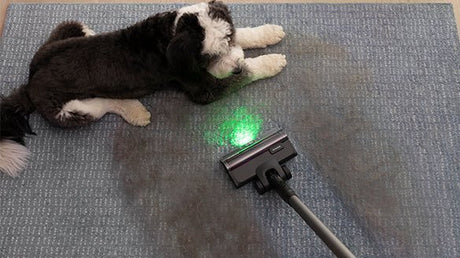 L'élément manquant du nettoyage domestique - Tineco FR